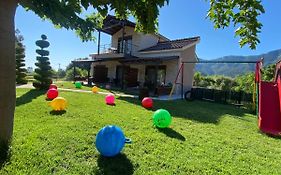 Aelia Studios